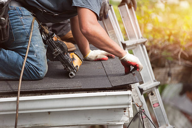 Best Roof Gutter Cleaning  in Dunn Loring, VA